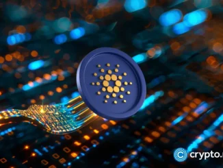 3 reasons why Cardano price may surge by 70%