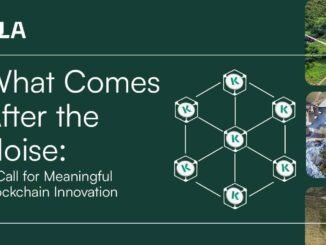 What Comes After the Noise: A Call for Meaningful Blockchain Innovation