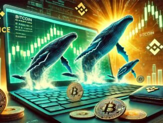 Bitcoin Whales