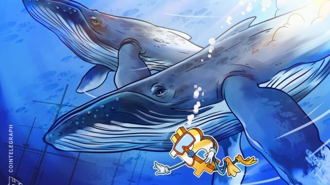 Bitcoin exchange outflows mimic 2023 as whales buy retail 'panic'
