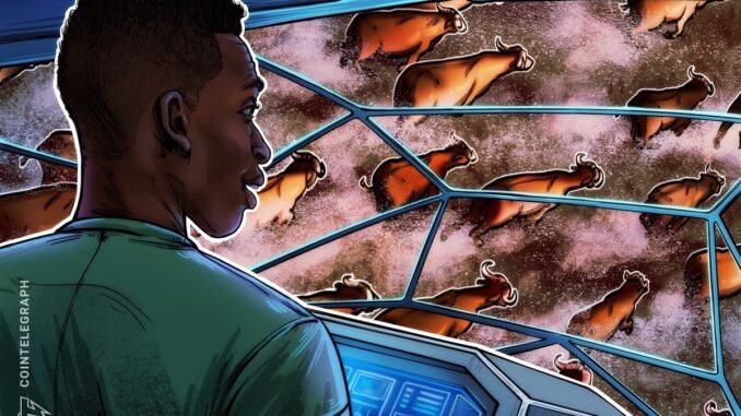 Bitcoin price prepares for ‘70% to 80%’ gain as onchain Bitcoin price prepares for ‘70% to 80%’ gain as onchain metrics and spot BTC ETF inflows spike