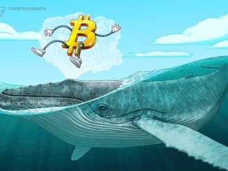 Bitcoin whales absorb 300% of newly mined BTC supply — Is $100K next?
