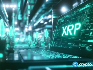 CME Group plans to launch XRP futures on May 19