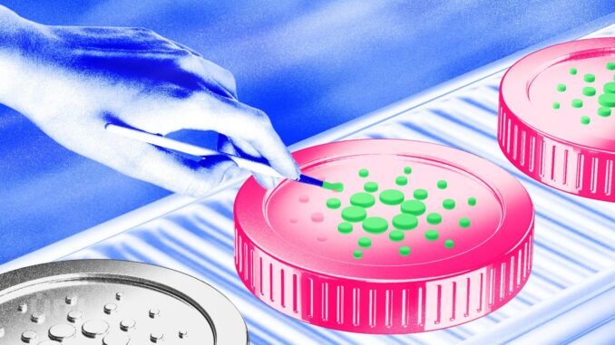 Cardano Whales’ Accumulation Hits 420 Million ADA Even As Price Fails Breakout