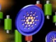 Charles Hoskinson Slams Critics, Says Cardano’s Success Isn’t Just About Price