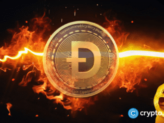 DOGE price eyes 500% surge based on historical pattern – another cause for celebration after DogeDay