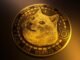 Dogecoin