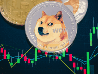 Dogecoin price action