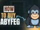 How to Buy BabyFEG | Easy Guide to Buy on PancakeSwap #BabyFeg