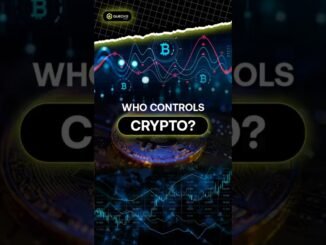 How to Survive a Crypto Bear Market (2025 Guide) | Quecko Studio