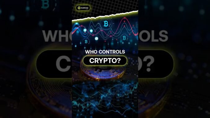 How to Survive a Crypto Bear Market (2025 Guide) | Quecko Studio