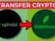 NEW! How to Transfer Crypto from Uphold to Robinhood (2025 Full Guide)