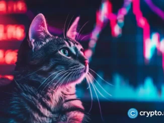 POPCAT eyes breakout moment after months of pressure below major level