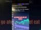 Simons cat crypto price prediction btc crypto news today #fyp