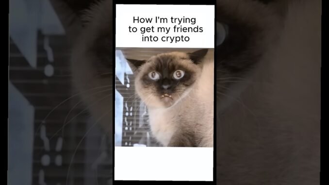 Sooner or later, they will come to the #crypto side😁 #web3 #blockchain #cryptomemes #cryptocurrency