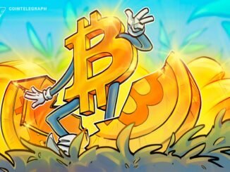 'Strategy is synthetically halving Bitcoin' — Author and analyst