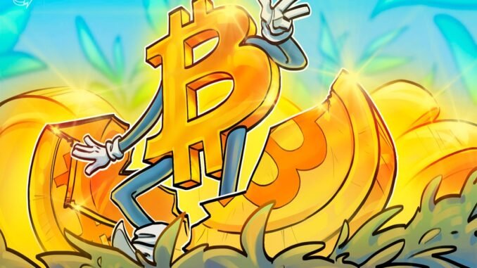 'Strategy is synthetically halving Bitcoin' — Author and analyst