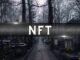 The Rise and Fall of Art NFTs
