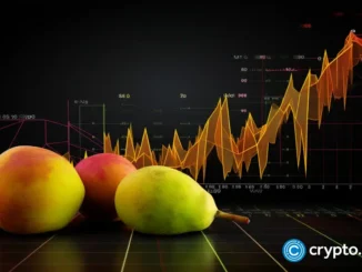 US prosecutors seek up to 8 years for Mango Markets exploiter Avi Eisenberg