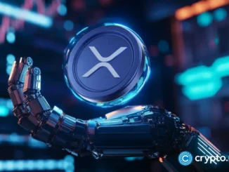 XRP surges as Yeti Ouro investors eagerly await stage 4’s price hike