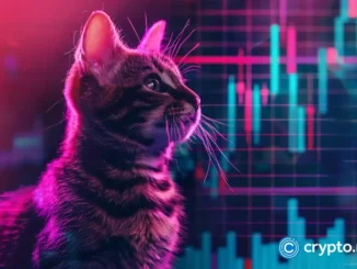 can bulls trigger a 100% rally?