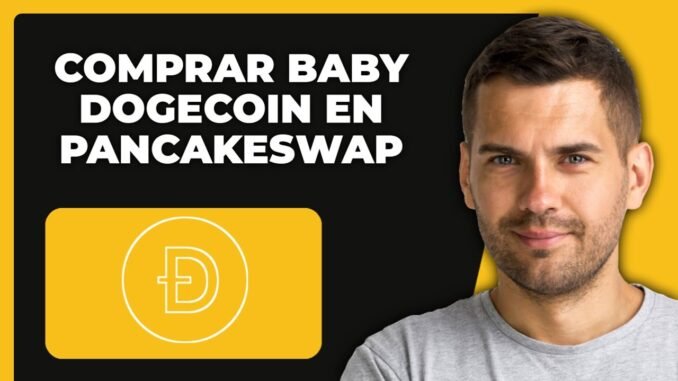 ¿Cómo Comprar Baby Dogecoin en PancakeSwap? Adquirir Baby Dogecoin en PancakeSwap
