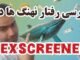 رفتار نهنگ ها و رسد کردن کیف پول آنها در Dexscreener