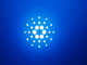 Cardano news