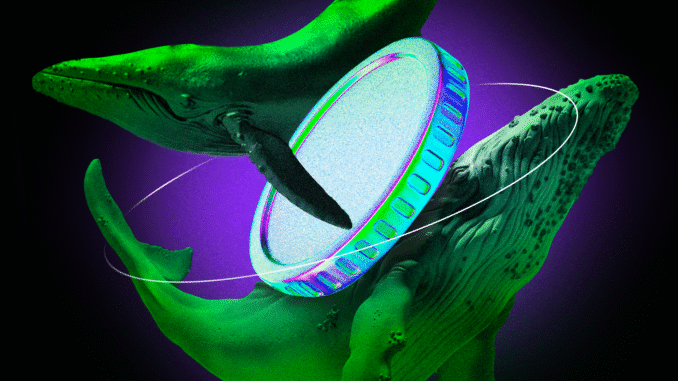 5 Solana Meme Coins Smart Traders Are Buying in the Third Week of May