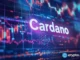 A coiled spring? Whales accumulate, price rebounds