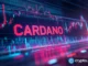 ADA early whales switch to this $0.005 utility altcoin