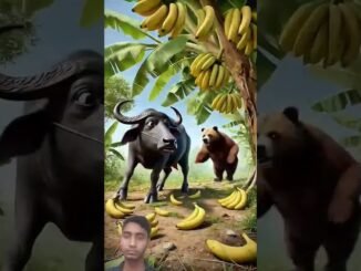 AI viral news short video #ai #shorts #viralvideo #trending #facts #cow