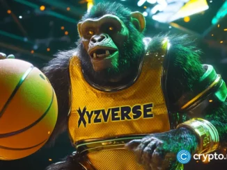 Analysts predict XMR and XYZ could see 3x gains due to strong Bitcoin market correlation