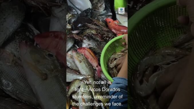 Best Financial Advice For Beginners | Ai In Finance For Beginners #Shorts