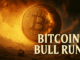 Bitcoin’s Bull Run at $99K. Why is Crypto Going Up and Which New Crypto Should You Buy?