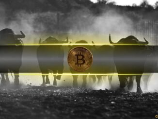 Bitcoin Metrics Align for Extended Bull Run as Price Holds Above Six Figures: Analysts