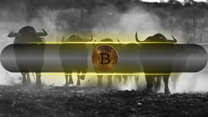 Bitcoin Metrics Align for Extended Bull Run as Price Holds Bitcoin Metrics Align for Extended Bull Run as Price Holds Above Six Figures: Analysts