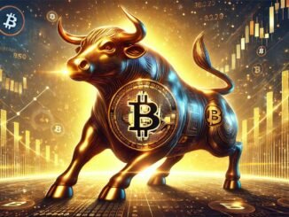 Bitcoin bull run