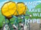 Bitcoin holds key support as HYPE, XMR, AAVE, WLD lead altcoin rally