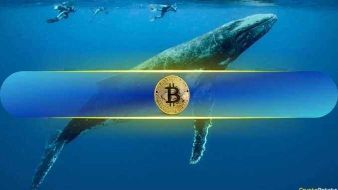 Bitcoin to $121K Next Week? Mega Whale Wynn Bet $1.25B on It