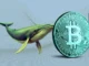 Bitcoin Nears $100k as Whales Accumulate 3,577 BTC Worth $330 Million