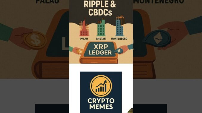 CBCDs.... What Are They? #Crypto #Blockchain #CryptoEducation #Bitcoin #Ethereum #CryptoShorts #Web3