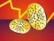 Cardano (ADA) Price Prediction for March 14