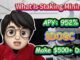 Crypto Bull Market Guide: Stake DOGC Token Project & Earn 952% APY
