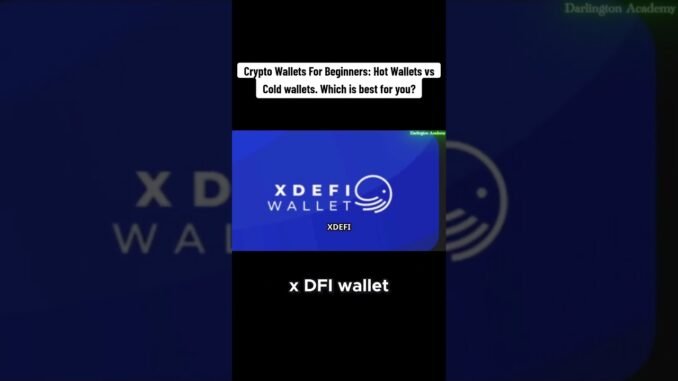 Crypto Wallets For Beginners: Hot Wallets vs Cold Wallets. Which is best for you?