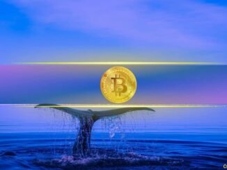 Crypto Whale Wynn Quits After Scoring $25M from $1.25B Bitcoin Bet