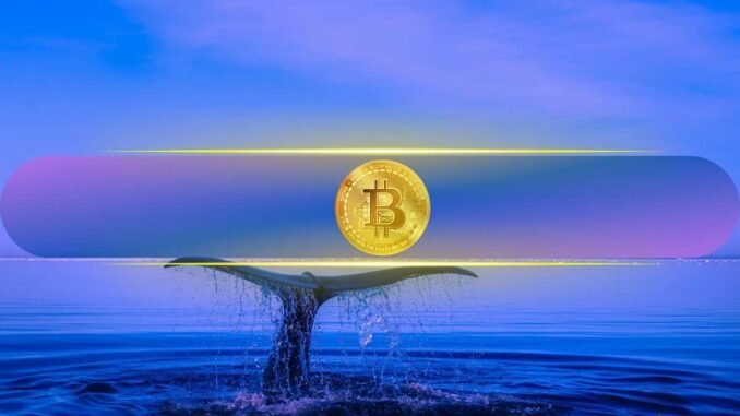 Crypto Whale Wynn Quits After Scoring $25M from $1.25B Bitcoin Bet