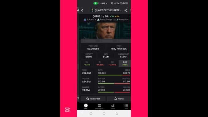 Dexscreener Guide: 4 Best Chains for Meme Coin Trading