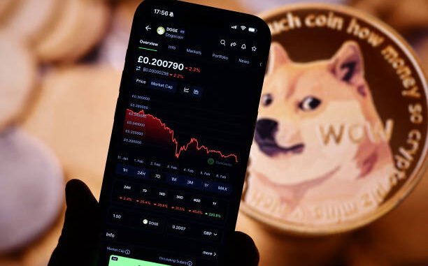 Dogecoin Price Ready For Next 500% Wave, Here’s The Target Dogecoin