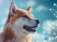 Dogecoin price prediction for May 2025: Bullish or bearish trends ahead?